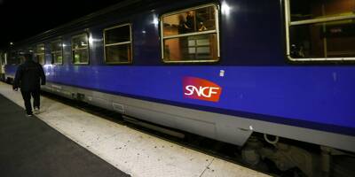 Un train de nuit Paris-Nice percute un troupeau de vaches en Bourgogne, 400 passagers en attente durant neuf heures