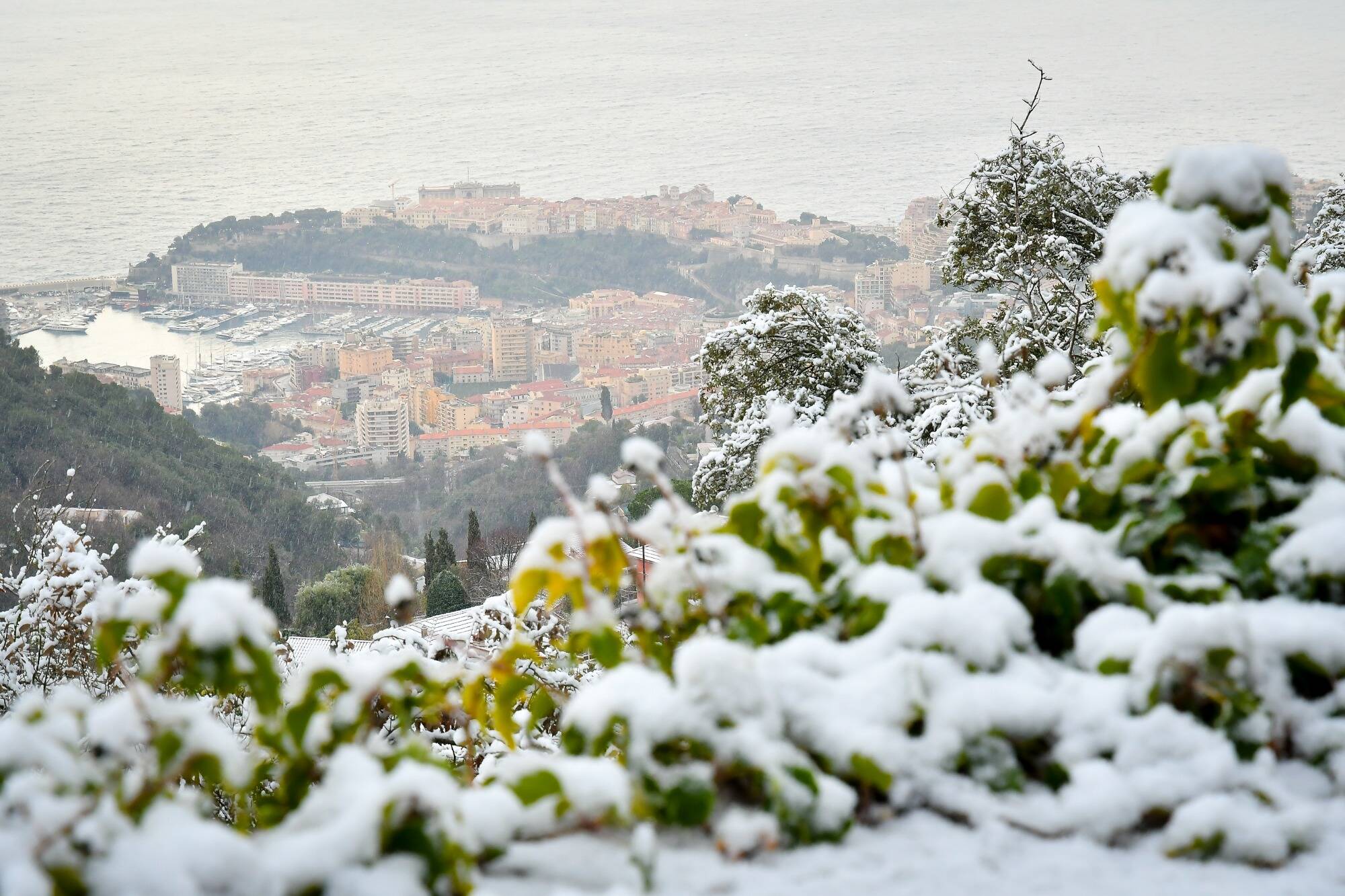 Après la "journée la plus froide depuis le début de l'hiver", à quelles températures s'attendre dans les Alpes-Maritimes et le Var?
