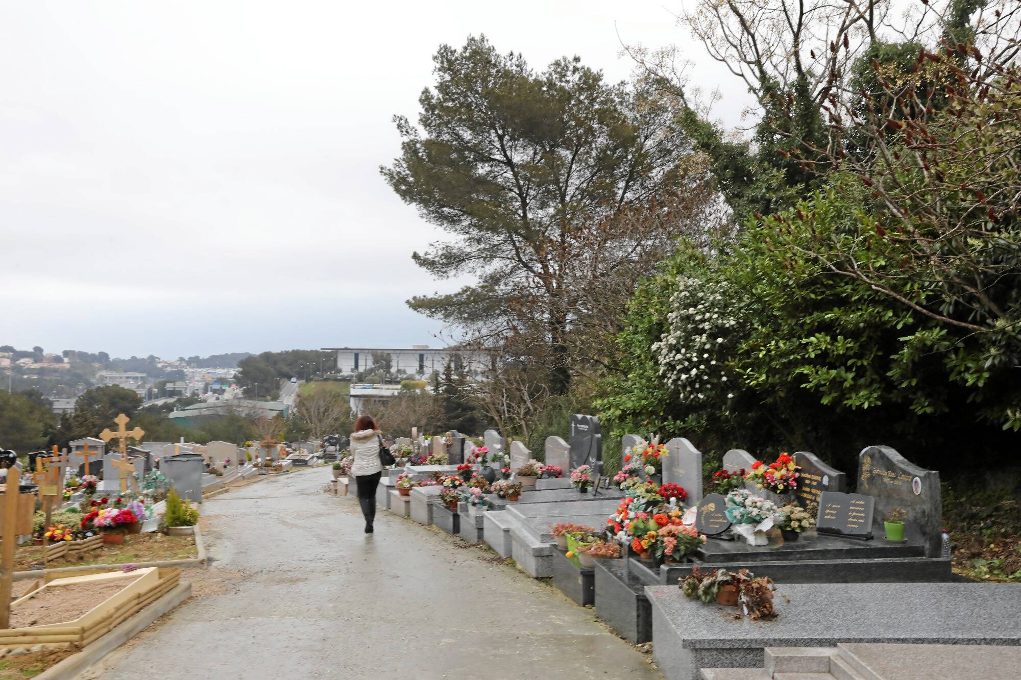 "En trouvant son bébé, on l'a aidée à faire son deuil": comment la Ville d'Antibes a retrouvé une maman endeuillé il y a plusieurs décennies