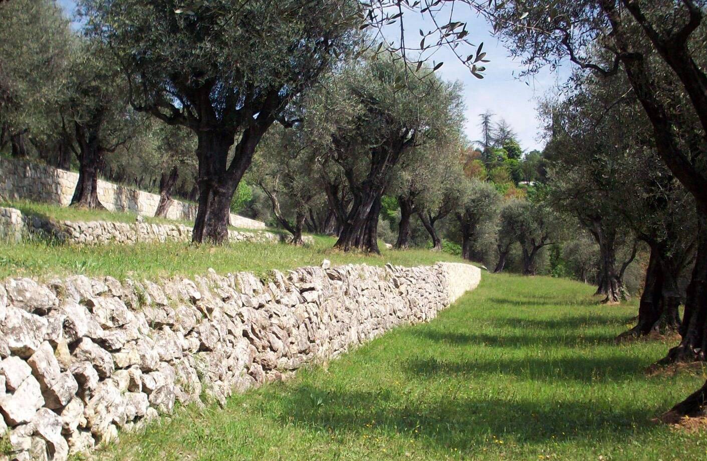 Un sexagénaire grièvement blessé après une chute de plusieurs mètres à Montauroux