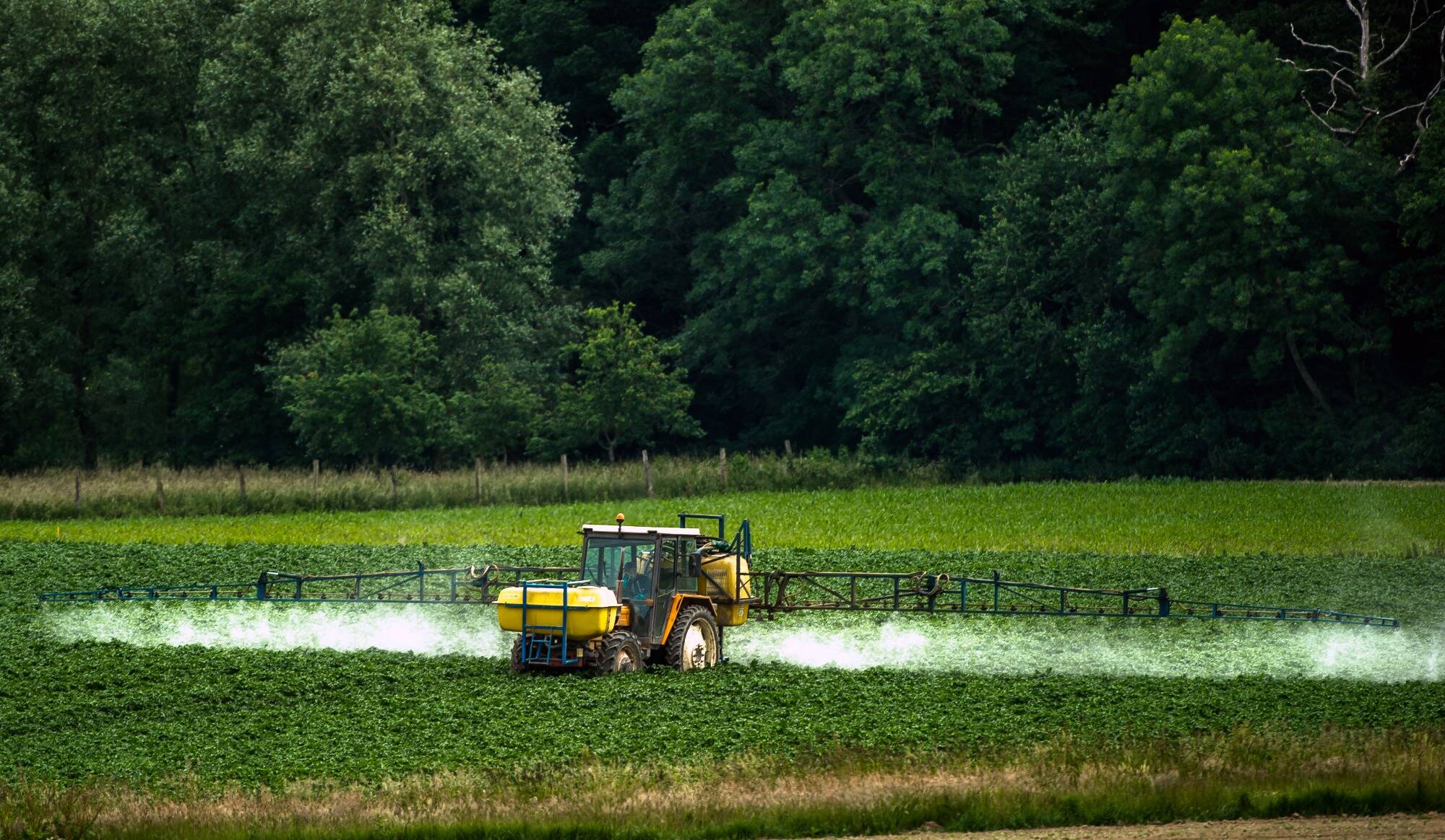 Le glyphosate autorisé pour dix ans de plus dans l'Union européenne: ce qu'il faut savoir sur cet herbicide controversé