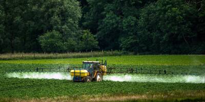 Des pesticides utilisés en Europe s'avèrent être des 