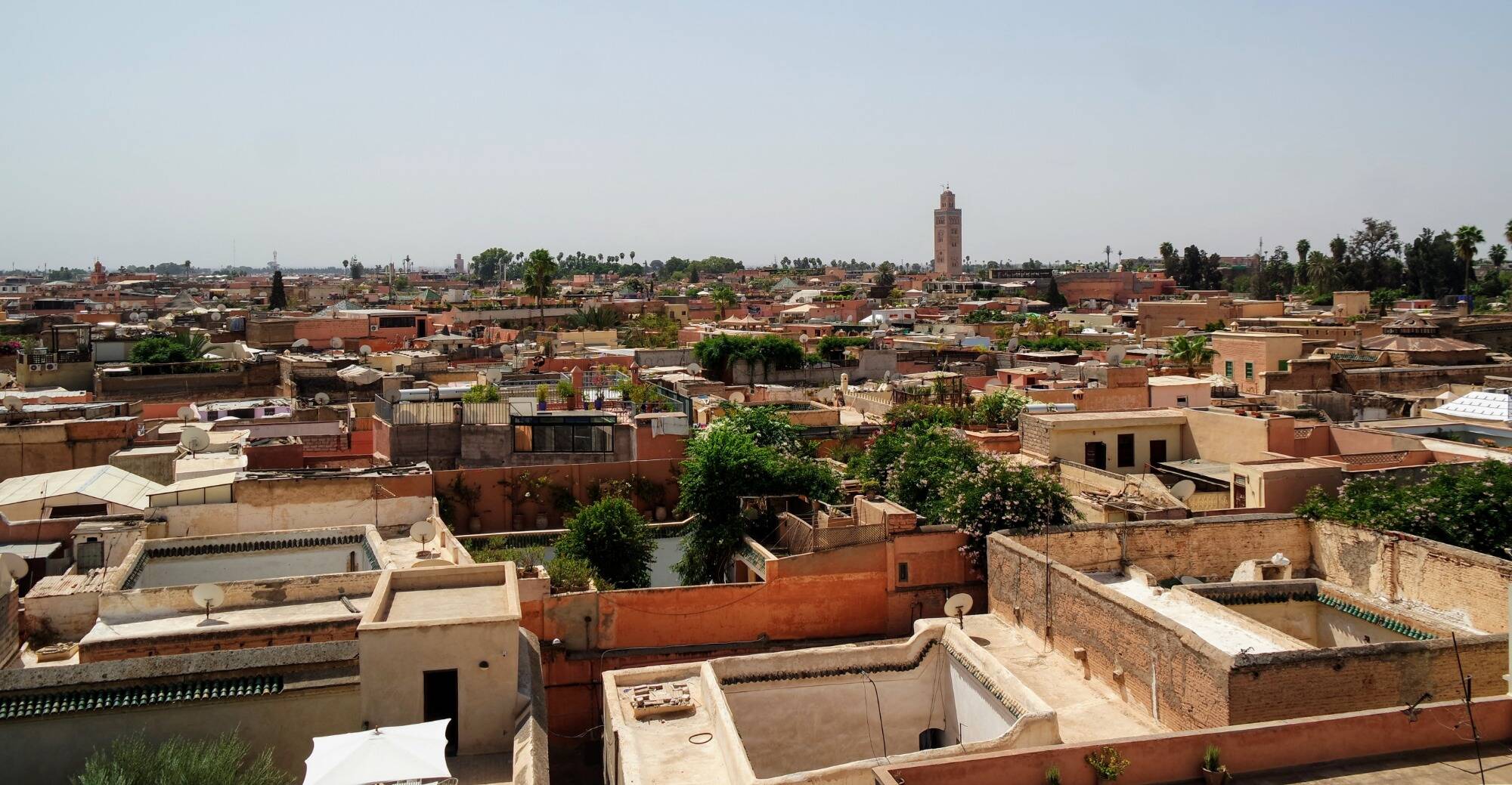 A Partir De Quel Age Les Enfants Sont Ils Soumis A Des Tests Pcr Pour Aller Au Maroc Nice Matin A Partir De Quel Age Les Enfants Sont Ils Soumis A Des Tests Pcr Pour Aller Au Maroc Nice Matin