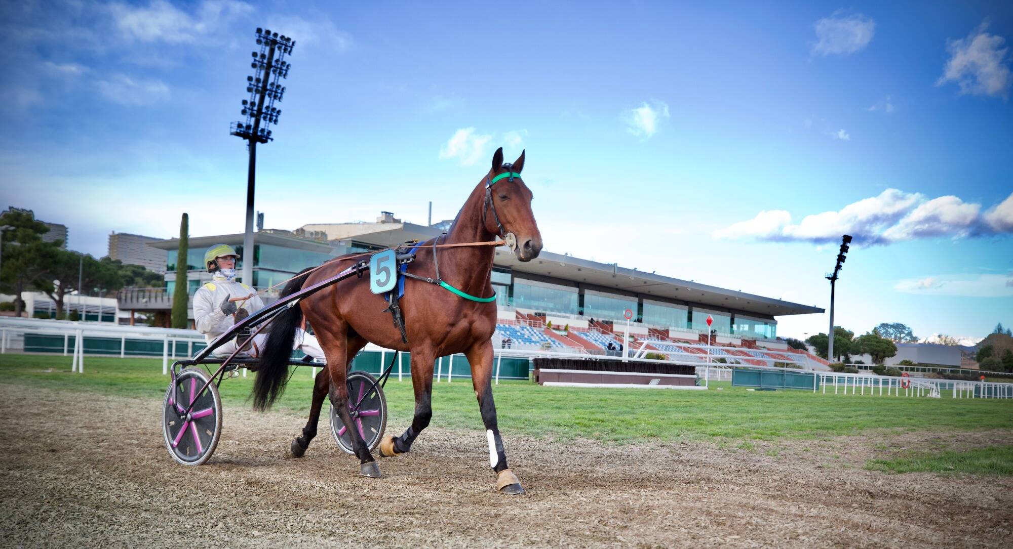 Le PMU va débloquer 8 millions d'euros pour payer un mois de loyer à son réseau de bars