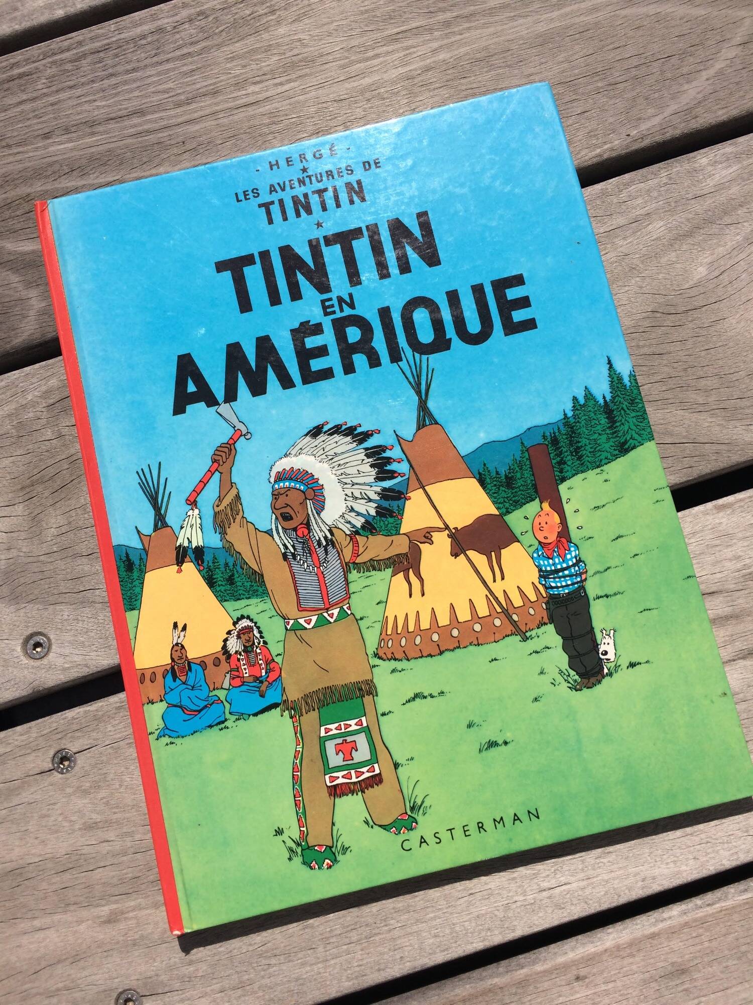 Tintin, Astérix, Lucky Luke... 5.000 livres jugés offensants brûlés dans des écoles au Canada