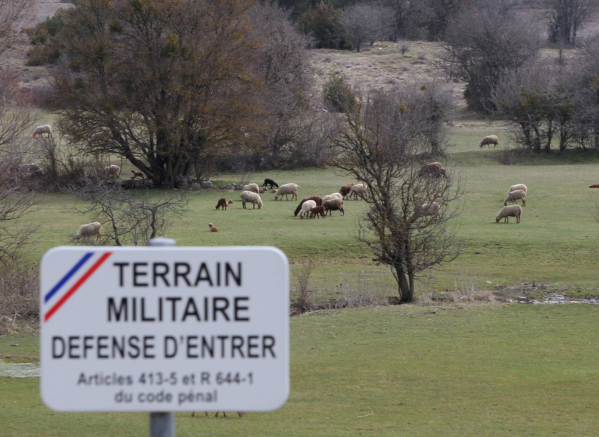 Cinq militaires testés positifs à la Covid-19 au camp de Canjuers dans le Var