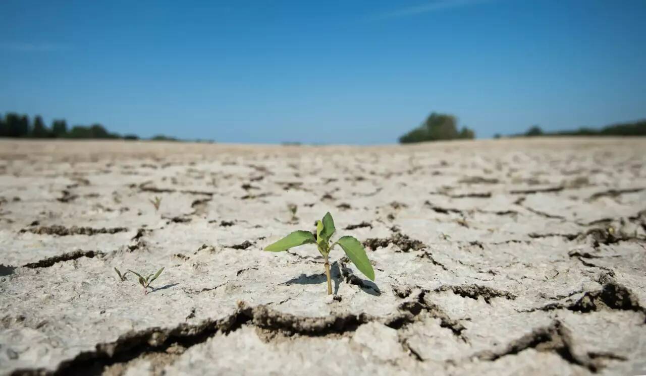 Deux communes du Var placées en alerte sécheresse par la préfecture