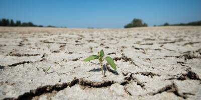 Assurance: le coût de la sécheresse attendu à 900 millions d'euros en 2023