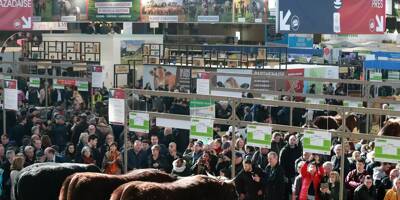 Le Salon de l'agriculture à Paris ferme ses accès pour raisons de sécurité, trop de visiteurs ce samedi