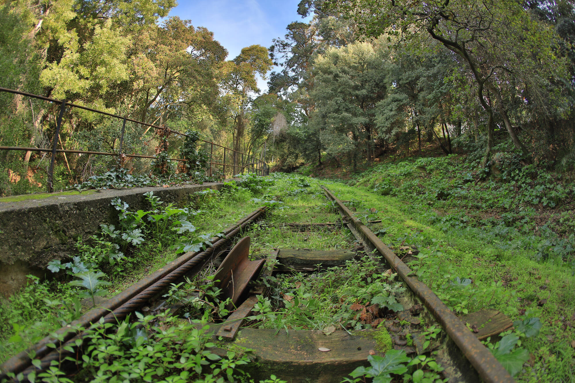 APPEL AUX LECTEURS. Déconfinement dès ce mardi: qu'allez-vous faire de votre liberté retrouvée?