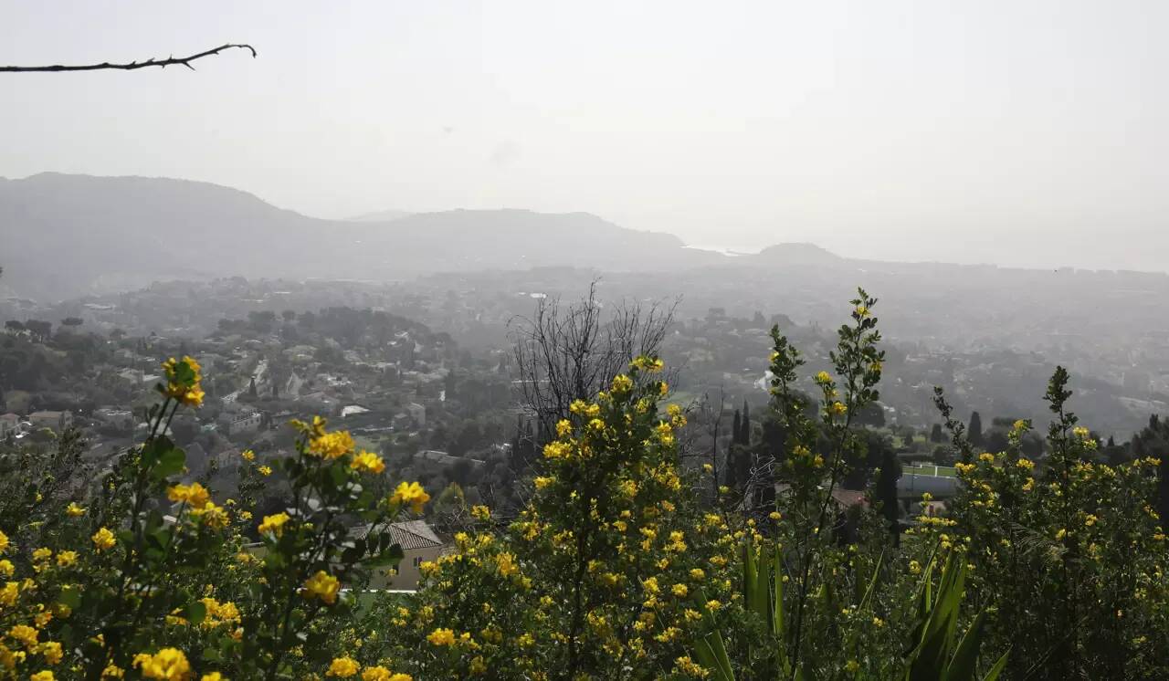 Canicule: les Alpes-Maritimes passent en alerte pollution de l'air niveau 2 ce mercredi, la vitesse abaissée de 20km/h sur certains axes