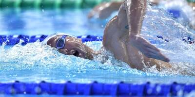 Le nageur toulonnais Damien Joly qualifié pour les Jeux olympiques sur 1500m nage libre