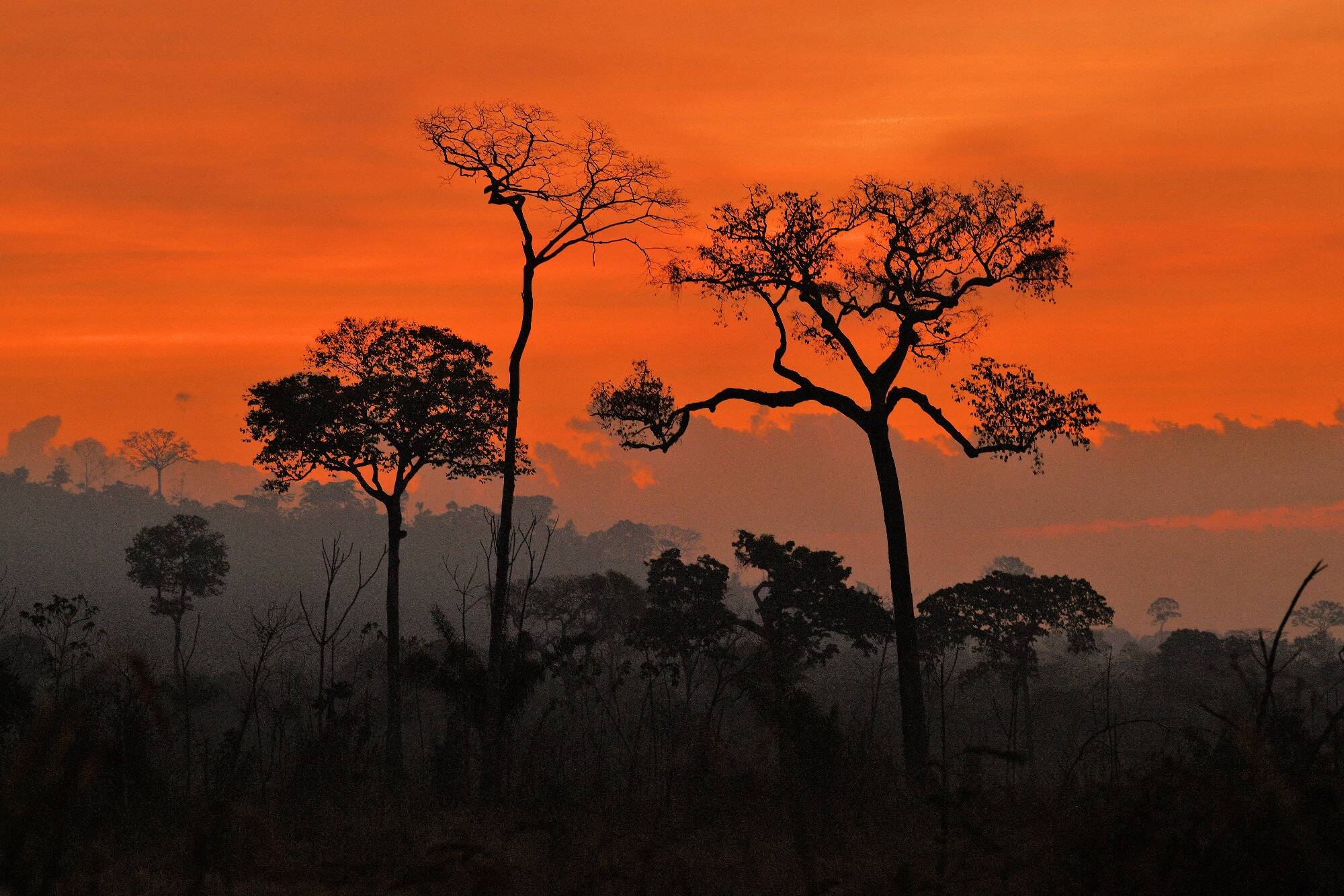 Au Brésil, le Sénat adopte une loi qui limite la reconnaissance des terres indigènes