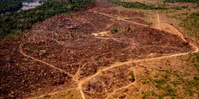 Nouvelle plainte contre BNP Paribas, accusée de financer la déforestation au Brésil