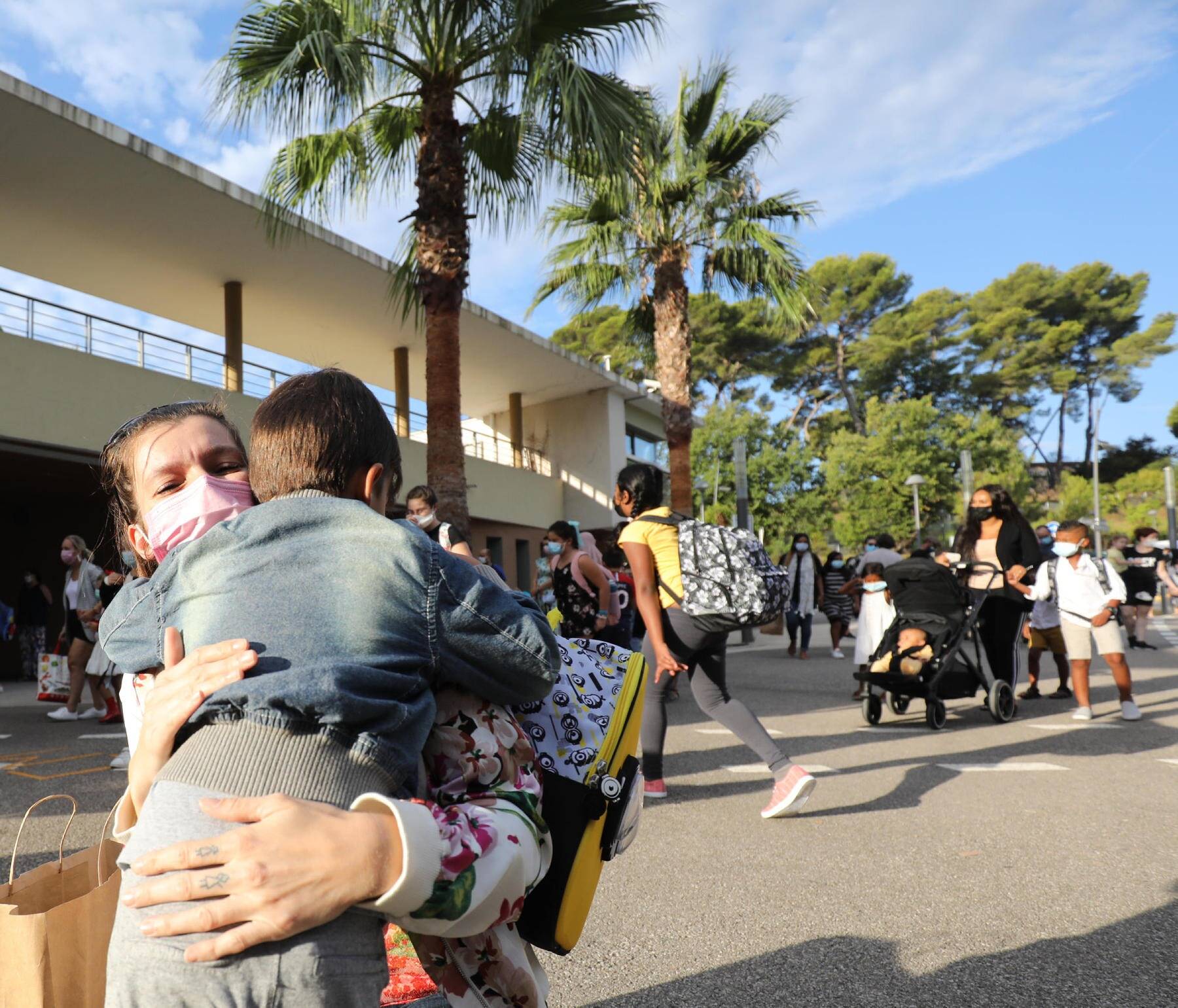 Un serpent d'un mètre retrouvé près d'une école à Cannes