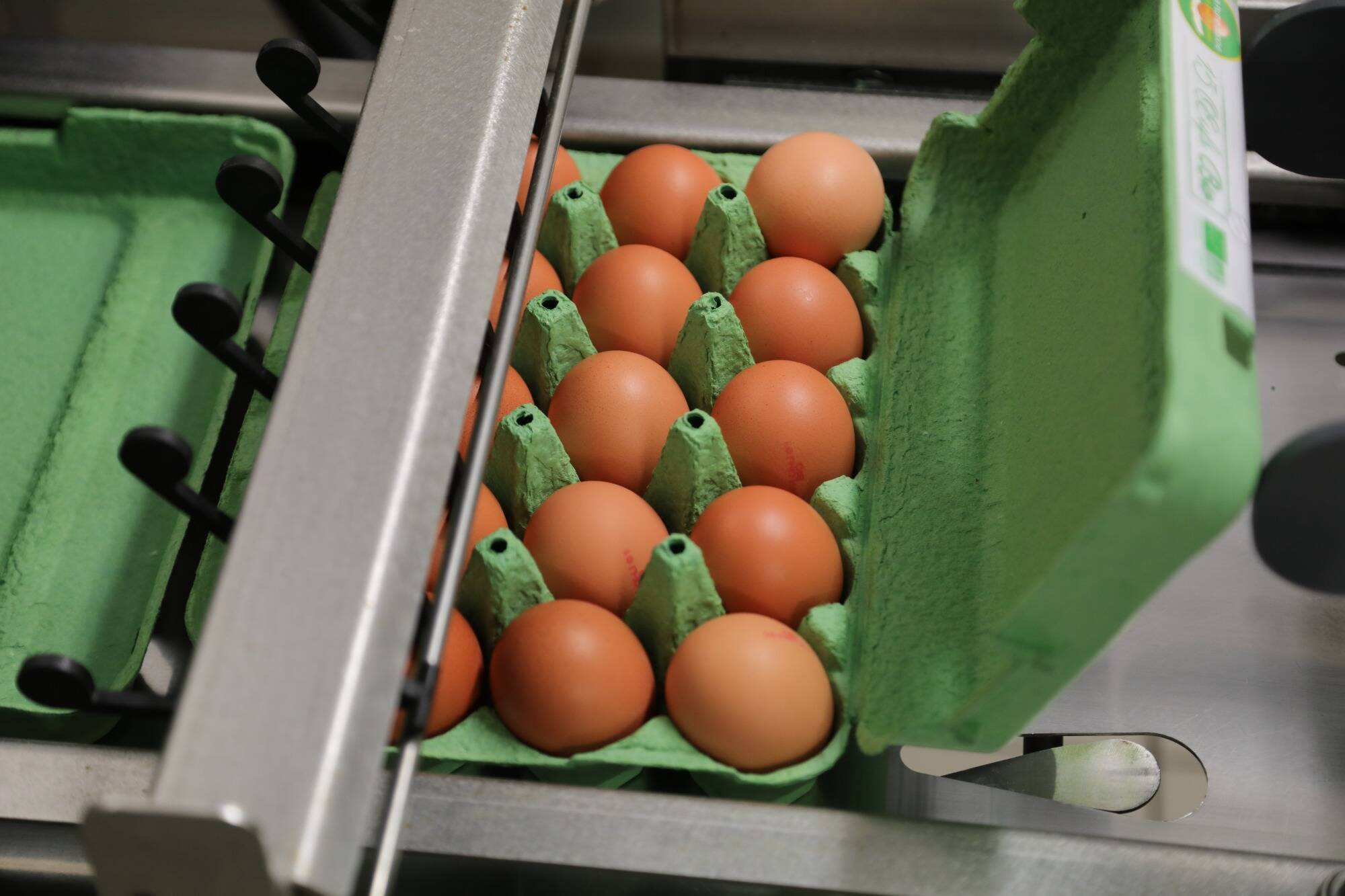 Grippe aviaire: l'épidémie peut-elle provoquer une nouvelle hausse du prix et une pénurie d'oeufs en France?