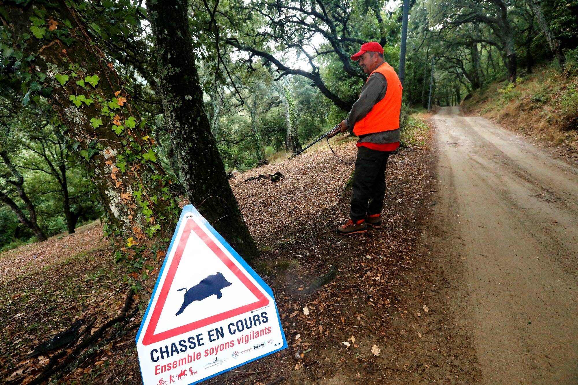 Légère hausse des accidents de chasse cette saison, le nombre de décès reste au plus bas