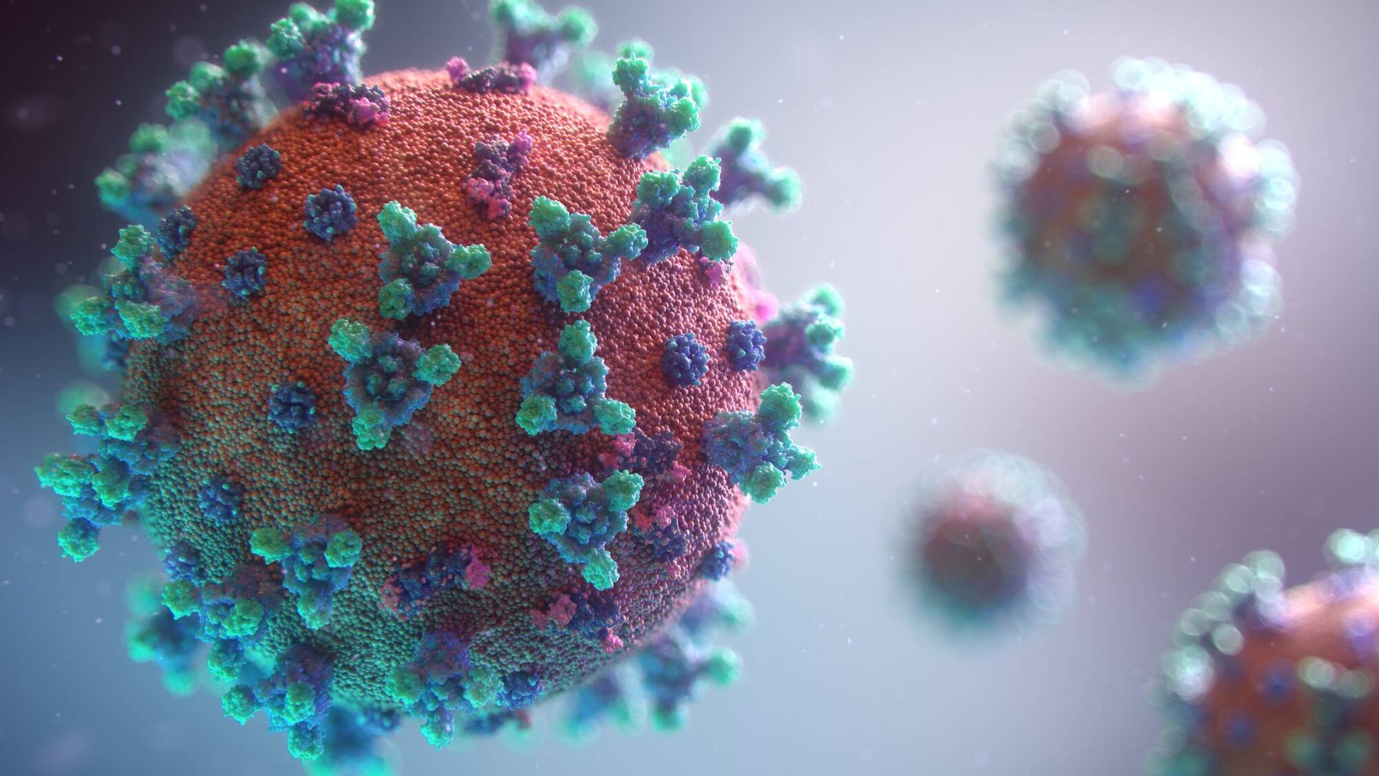 HMPV: The Potentially Deadly Virus that’s Surging in the US