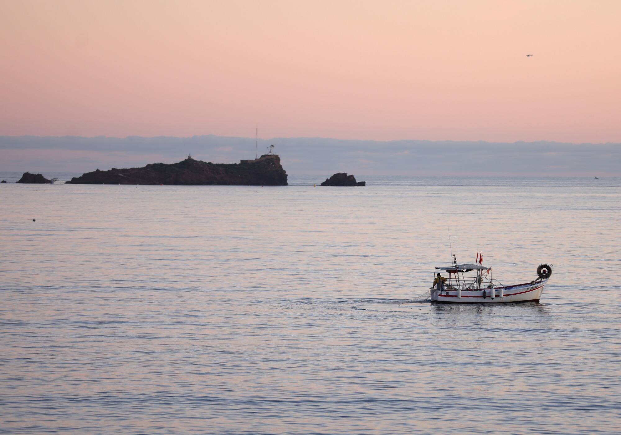 Sur la Côte d'Azur, une interdiction de pêcher bénéfique à la biodiversité... et aux pêcheurs
