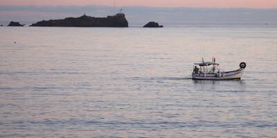 Sur la Côte d'Azur, une interdiction de pêcher bénéfique à la biodiversité... et aux pêcheurs