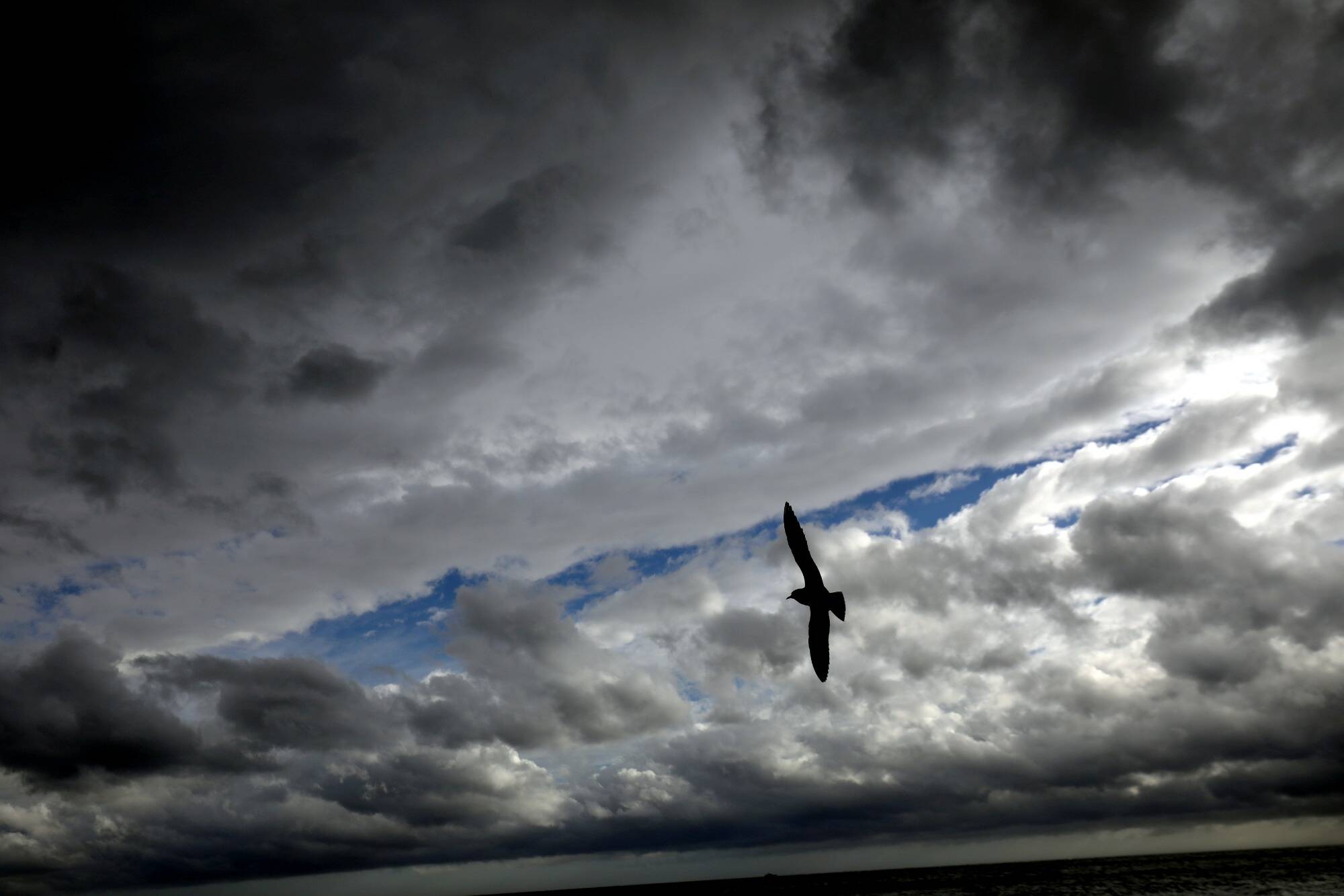 Du soleil et du vent: le point sur les prévisions météo de ce jeudi dans les Alpes-Maritimes