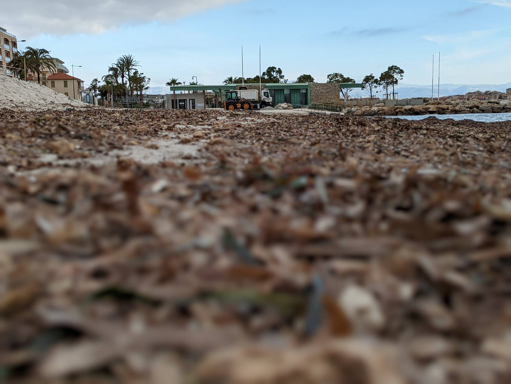 Pourquoi ça sent mauvais sur certaines plages de la Côte d'Azur?