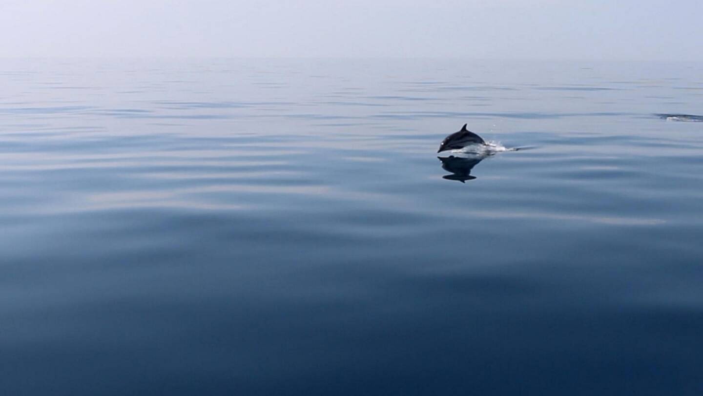 L'Océan, un milieu fragile à protéger, essentiel pour la régulation du climat.