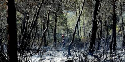 Un feu parcours 2,5 hectares de forêt à Breil-sur-Roya