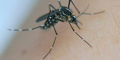 Recrudescende des cas de dengue: 