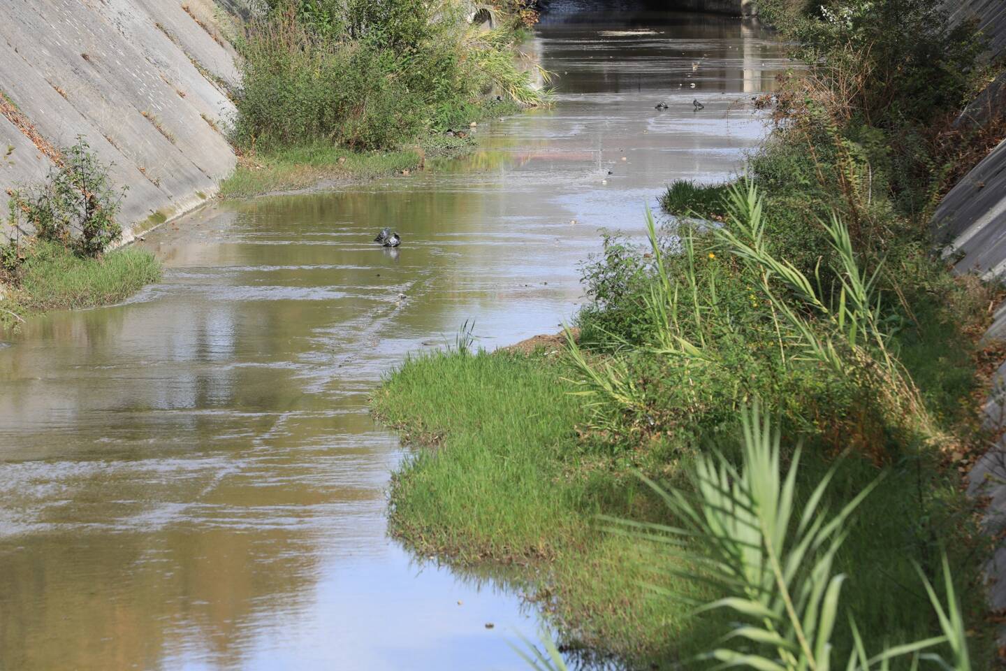 La Ville s’appuie notamment sur sa brigade de l’environnement, créée en 2012.