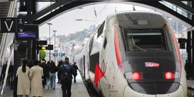 Un voleur meurt percuté par un TGV en tentant de voler un sac sur le quai d'une gare