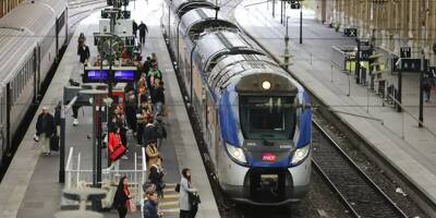 La circulation des trains TER perturbée entre Nice et l'Italie ce mercredi matin