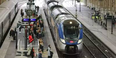 Violent incendie aux portes de Nice: la circulation des trains interrompue ce mardi après-midi