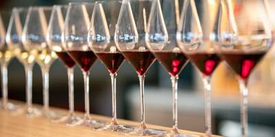 La France en passe de redevenir 1er producteur mondial de vin devant l'Italie