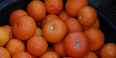 J'ai mangé ces oranges de Tunisie rappelées dans toute la France, qu'est-ce que je risque?