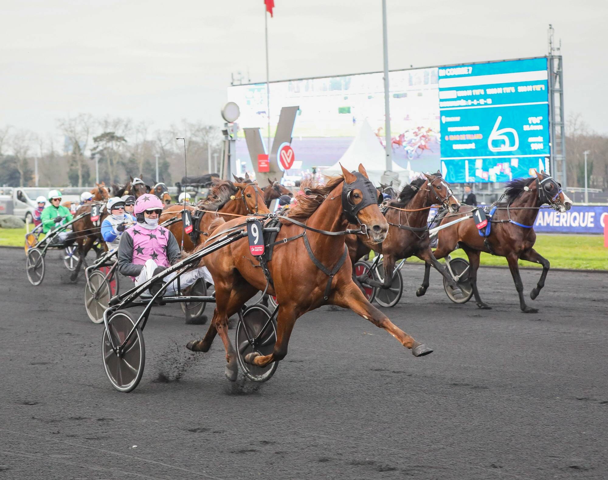 Le PMU a repassé la barre des 10 milliards d'euros d'enjeux en 2023
