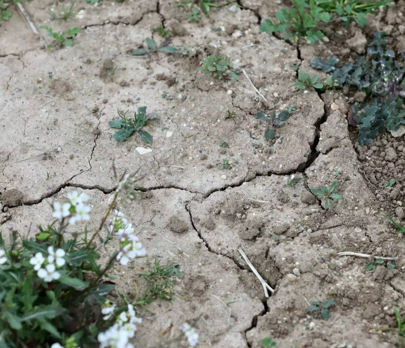 Qu'est-ce que je risque si je ne respecte pas les mesures en période d'alerte sécheresse dans les Alpes-Maritimes?