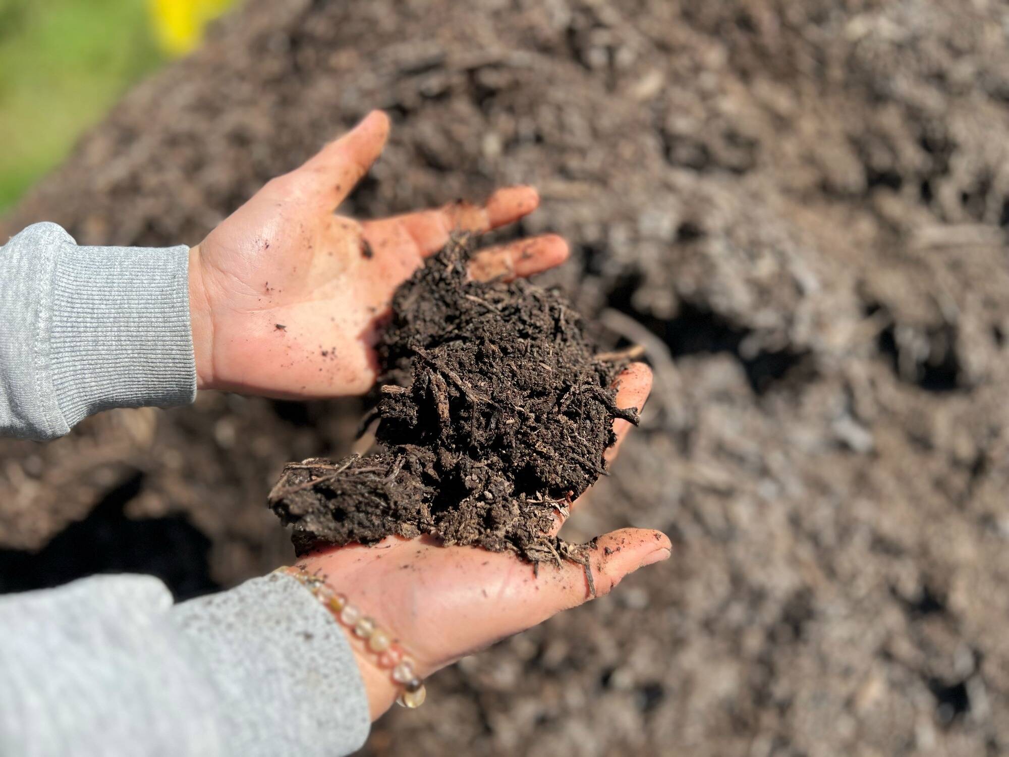 Jetée dans nos poubelles, quelle est cette ressource qui pourrait être réutilisée?