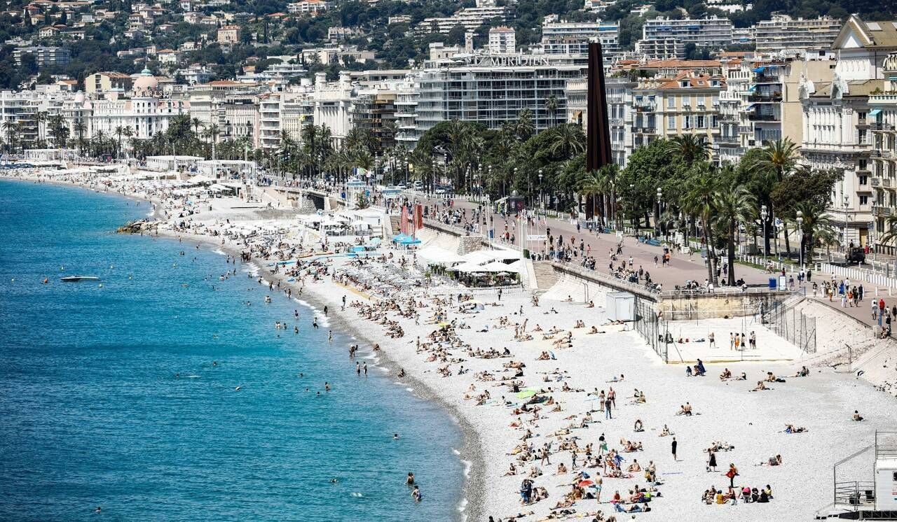 Un cas de dengue dépisté: une partie du centre-ville de Nice démoustiquée ce vendredi à l'aube