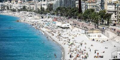Un cas de dengue dépisté: une partie du centre-ville de Nice démoustiquée ce vendredi à l'aube