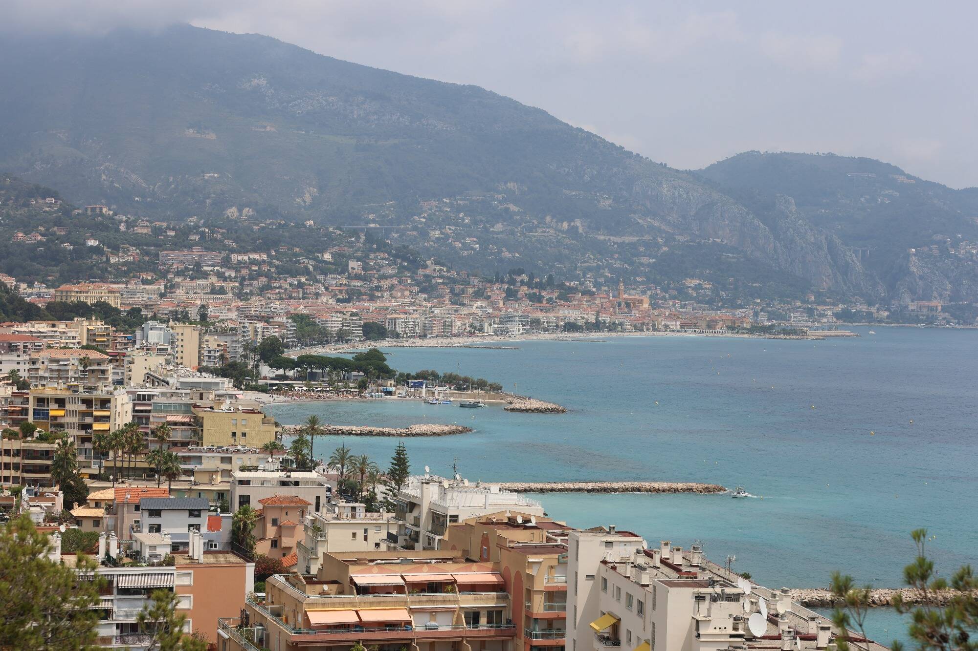 Une skippeuse condamnée pour avoir mouillé son voilier dans des posidonies entre la France, Monaco et l'Italie