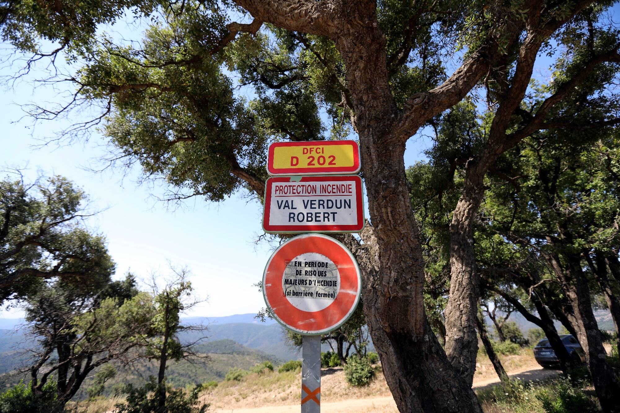 Dans le massif des Maures, une mobilisation inédite public-privé pour la forêt