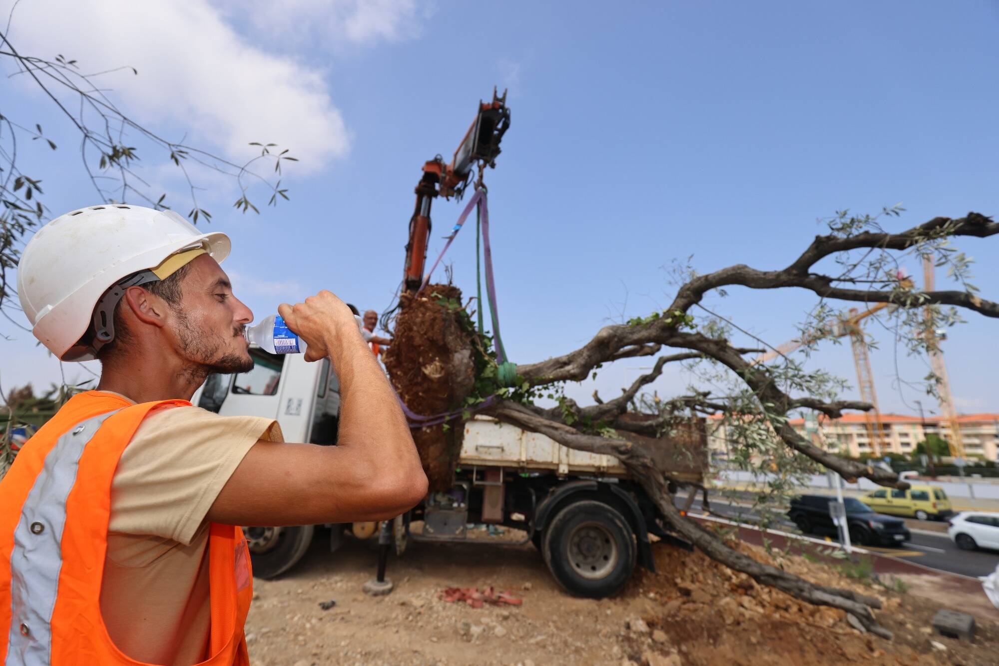 Ces communes du Var et des Alpes-Maritimes où il a fait plus de 40° ce mardi