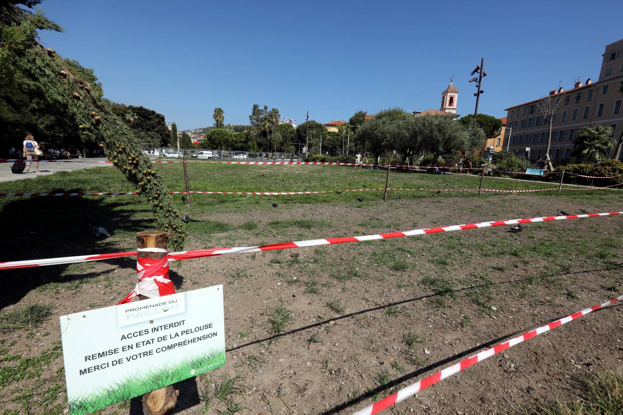 "Le synthétique est une fausse bonne idée": les solutions de la Ville de Nice pour éviter que ses pelouses ne brûlent l'été