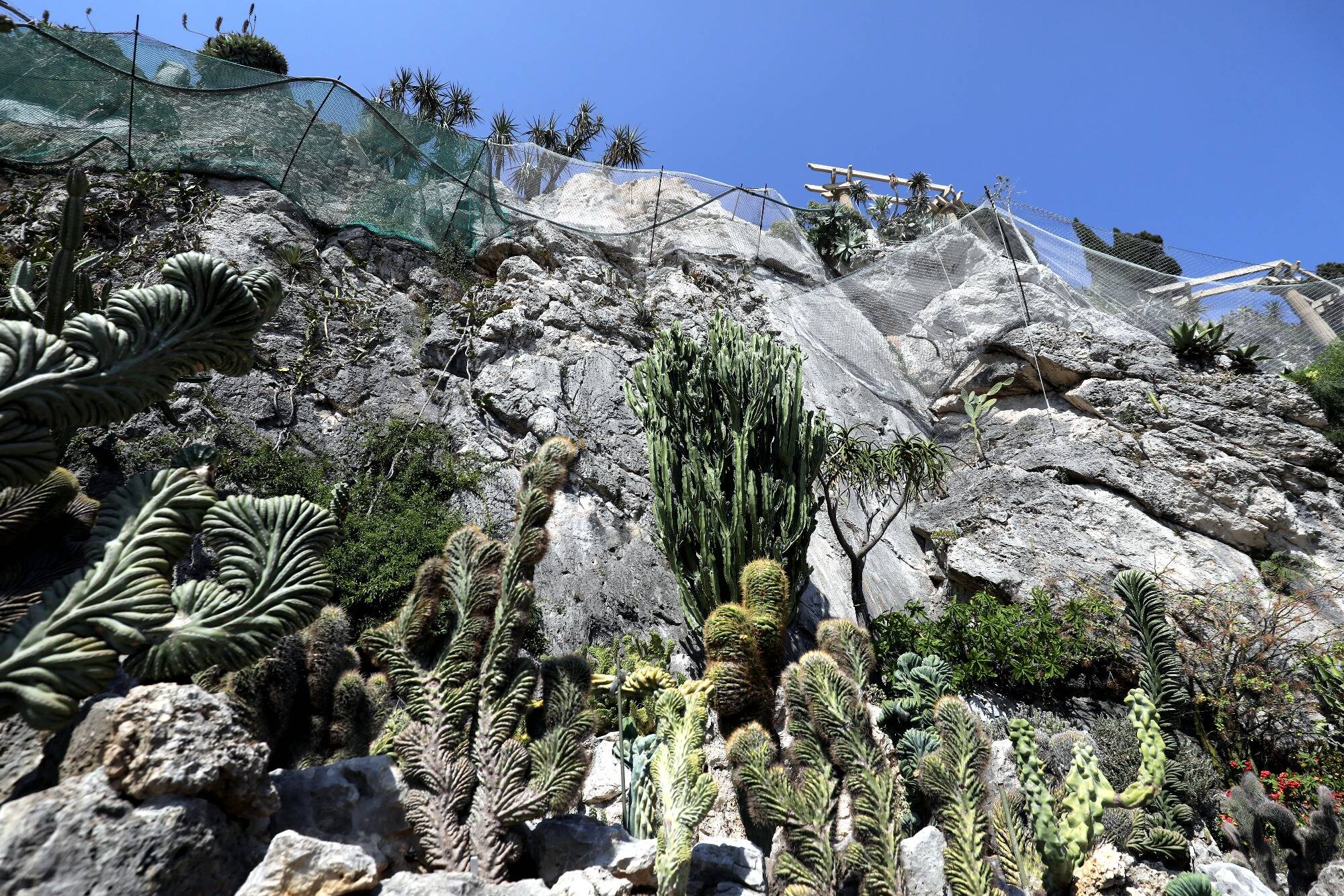 Fermé depuis 2020, le Jardin exotique de Monaco rouvrira ses portes au public en octobre 2025