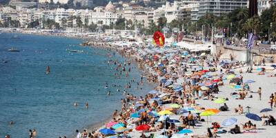 La température de la mer Méditerranée a brusquement chuté