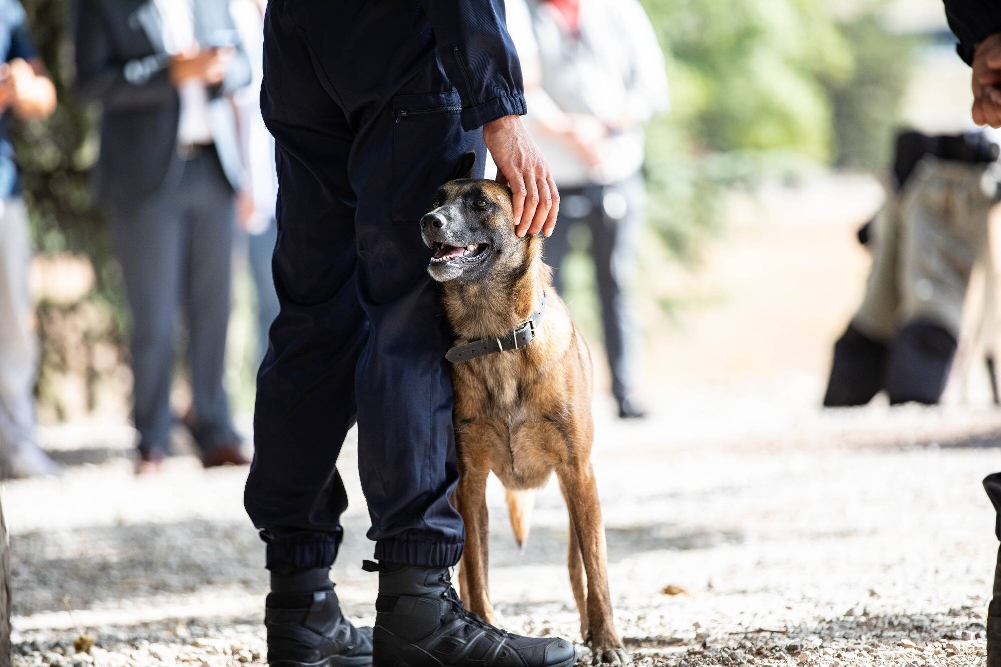 Le e-dog Snatch intervient dans sa première perquisition: quatorze interpellations dans un réseau d'escroquerie aux cryptomonnaies