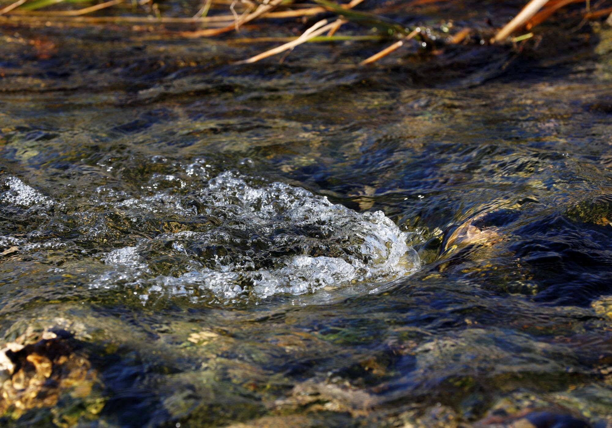 Une randonneuse septuagénaire passe 20 heures dans l'eau glacée après une chute