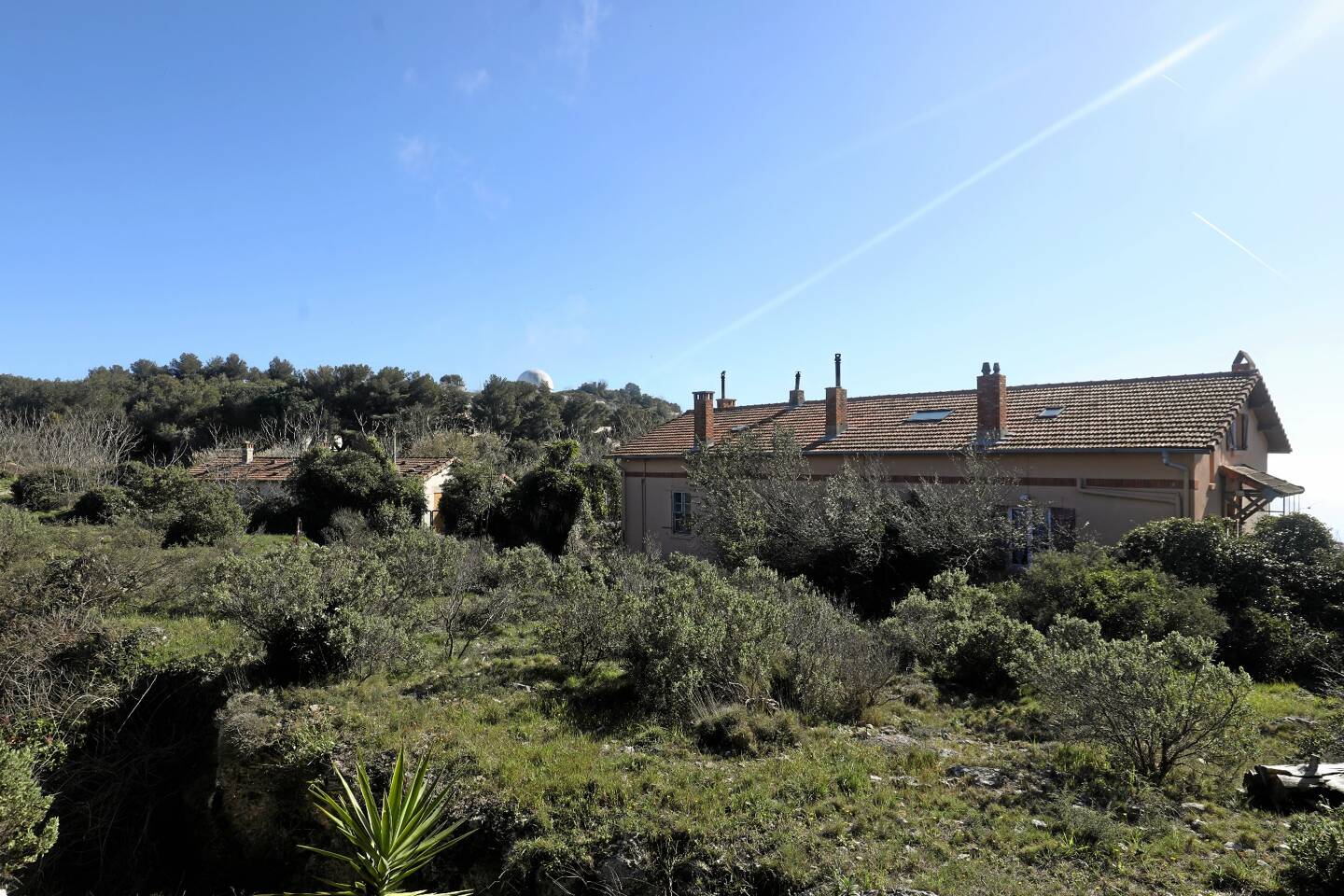 Point de vue inégalable sur la Principauté et la Méditerranée, la Tête de Chien abrite les anciennes villas de France Telecom où le projet de cyclisme devrait voir le jour. 