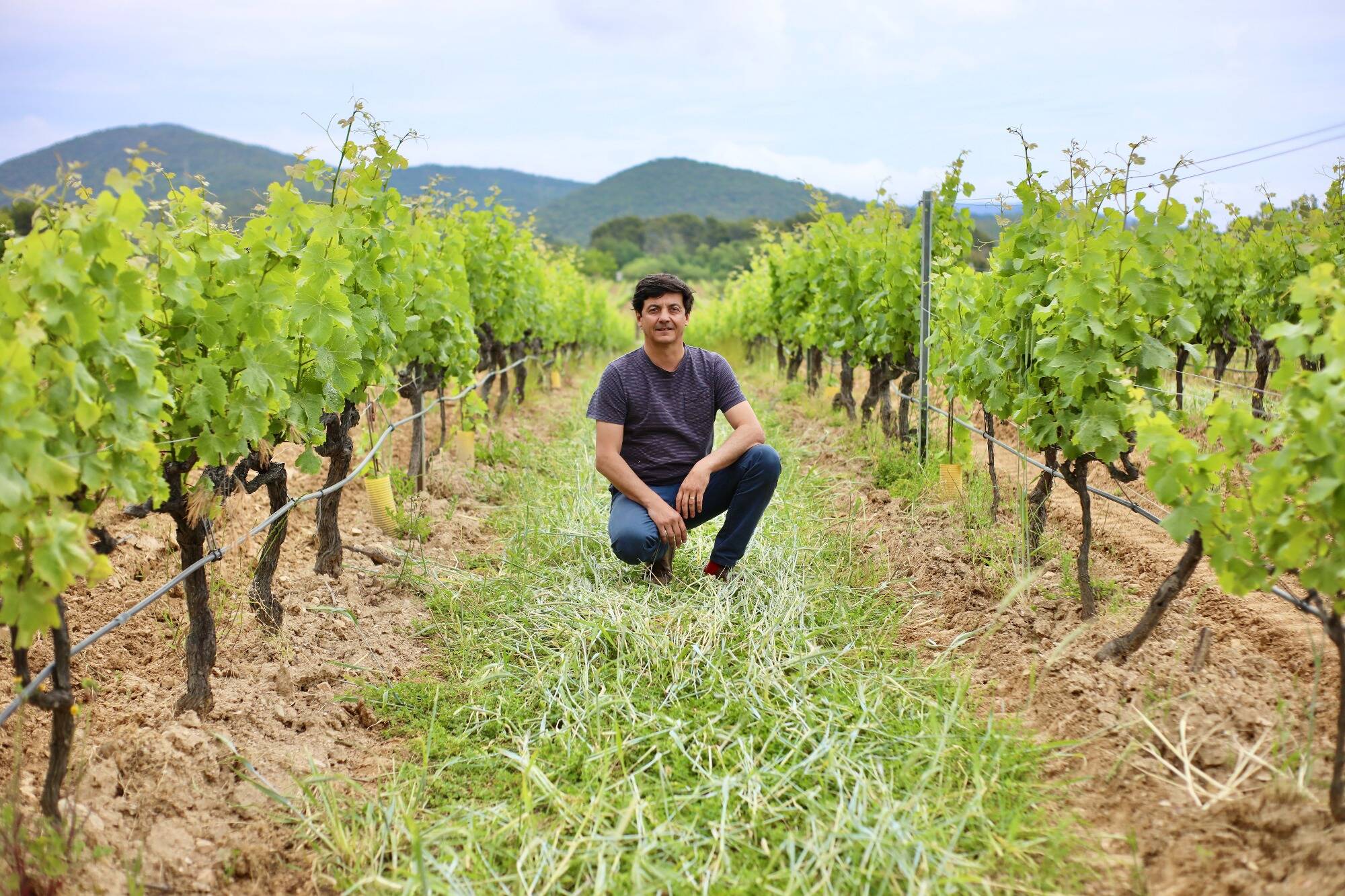 Comment ce vigneron varois révolutionne l'agriculture en dopant la santé des sols, sans pesticides